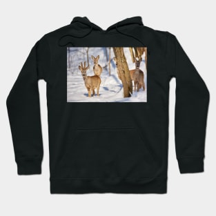 Roe deer in the forest Hoodie